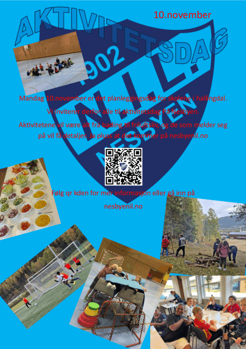 aktivitetsdag 10112025