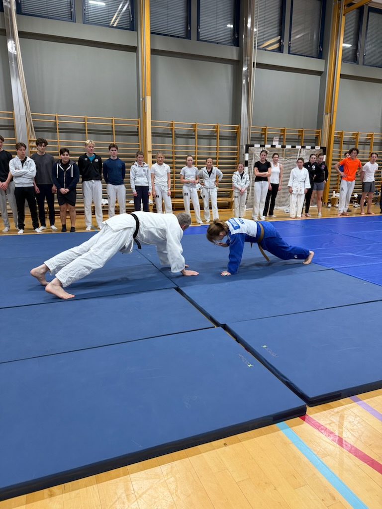 JUDO leik for nybegynnere